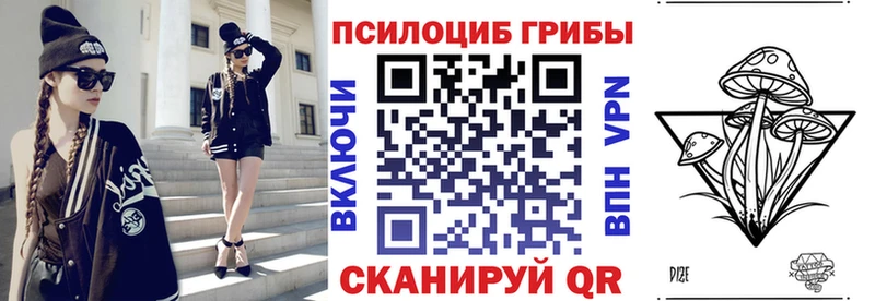 хочу   Красновишерск  Псилоцибиновые грибы Cubensis 